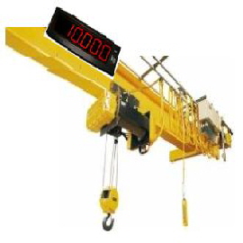 Overhead Gantry Cranes